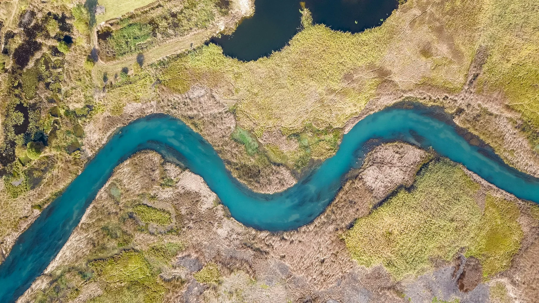 An aerial view of a turquoise river winding through reed beds and open vegetation.
